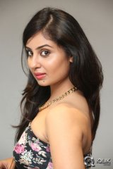 Bhanu Sri Mehra at Ala Ela Movie Audio Launch